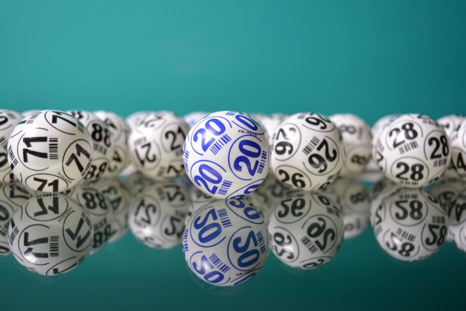 How to Organize the Perfect Bingo Party