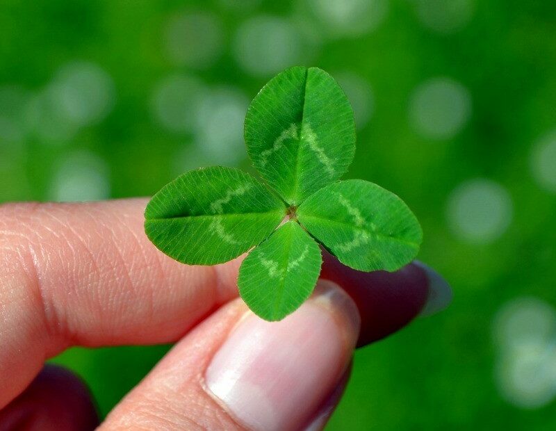 Superstition and Gender: Are Men or Women More Likely to Hold to Superstitions?
